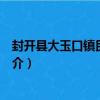 封開縣大玉口鎮民強小學（關于封開縣大玉口鎮民強小學簡介）