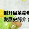 封開縣革命老區發展史（關于封開縣革命老區發展史簡介）