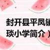 封開縣平鳳鎮城琰小學（關于封開縣平鳳鎮城琰小學簡介）