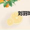劉羽琦是什么（劉羽琦整容）