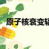 原子核衰變輻射的射線本質（原子核衰變）