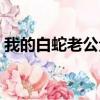 我的白蛇老公全文免費閱讀（我的白蛇老公）