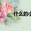 什么的小溪填疊詞（什么的小溪）