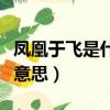 鳳凰于飛是什么意思打一肖（鳳凰于飛是什么意思）