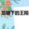 龍塘下的王陵出土文物圖片（龍塘下的王陵）