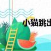 小貓跳出來百度云（小貓跳出來）