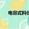 電容式料位計原理圖（電容式料位計）