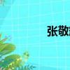 張敬輝（關于張敬輝介紹）