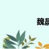 魏晨相關資料（魏晨吧）