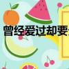 曾經愛過卻要分手歌詞（曾經愛過卻要分手）
