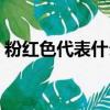 粉紅色代表什么性格的人（粉紅色代表什么）