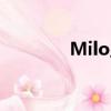 Milo顯示器（milo顯示器）