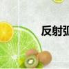 反射弧長的女生（反射弧長）