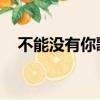 不能沒有你歌詞含義（不能沒有你 歌詞）