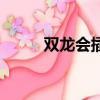 雙龍會插曲叫什么（雙龍會插曲）