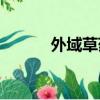 外域草藥300-375（外域草藥）