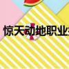 驚天動地職業技能視頻（驚天動地職業介紹）