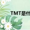 TMT是什么意思（tmt是什么意思）