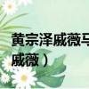 黃宗澤戚薇馬天宇一起演的戲叫什么（黃宗澤戚薇）