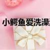 小鱷魚愛洗澡游戲攻略（小鱷魚愛沖涼攻略）