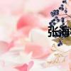 張海松（關于張海松介紹）