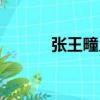張王疃鄉（關于張王疃鄉介紹）