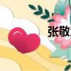 張敬慧（關于張敬慧介紹）