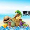 蔗糖的拼音（蔗的拼音）