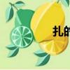 扎的讀音（掙扎的讀音）