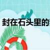 封在石頭里的夢（關于封在石頭里的夢簡介）