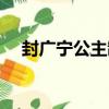 封廣寧公主制（關于封廣寧公主制簡介）