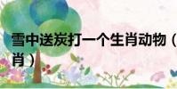 雪中送炭打一個生肖動物(雪中送炭打一個生肖)