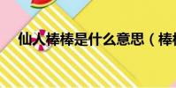 仙人棒棒是什么意思(棒棒是什么意思)