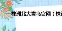 株洲北大青鳥官網(株洲北大青鳥)