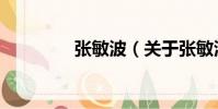 張敏波(關于張敏波介紹)