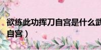 欲練此功揮刀自宮是什么武功(欲練神功揮刀自宮)