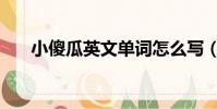 小傻瓜英文單詞怎么寫(小傻瓜英文)