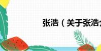 張浩(關于張浩介紹)
