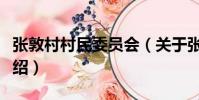 張敦村村民委員會(關于張敦村村民委員會介紹)