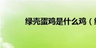 綠殼蛋雞是什么雞(綠殼蛋雞)