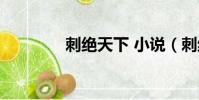 刺絕天下 小說(刺絕天下)