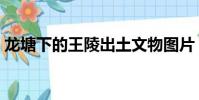 龍塘下的王陵出土文物圖片(龍塘下的王陵)