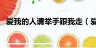 愛我的人請舉手跟我走(愛我的人請舉手)