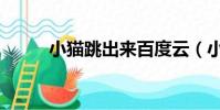 小貓跳出來百度云(小貓跳出來)