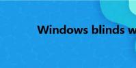 Windows blinds win10透明