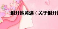 封開地黃連(關于封開地黃連簡介)
