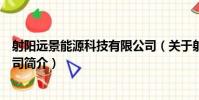 射陽遠景能源科技有限公司(關于射陽遠景能源科技有限公司簡介)