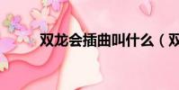 雙龍會插曲叫什么(雙龍會插曲)