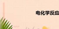 電化學反應