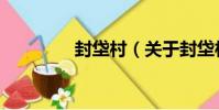封垈村(關于封垈村簡介)